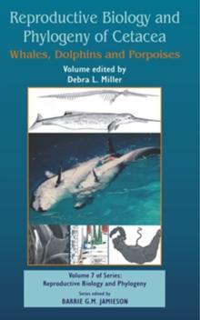 Reproductive Biology and Phylogeny of Cetacea: Whales, Porpoises and Dolphins