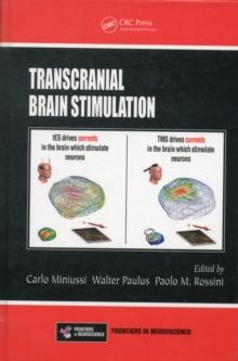 Transcranial Brain Stimulation