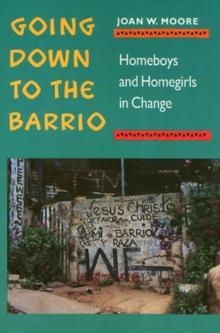 Going Down To The Barrio : Homeboys and Homegirls in Change