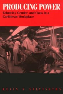 Producing Power : Ethnicity, Gender, and Class in a Caribbean Workplace