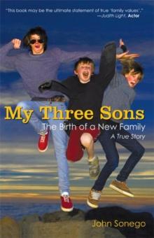 My Three Sons : The Birth of a New Family