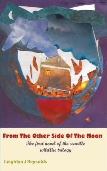 From the Other Side of the Moon : The First Novel of the Seaville Wildfire Trilogy