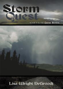 Storm Quest : Book 9 in the Quest Series