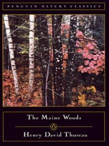 Maine Woods