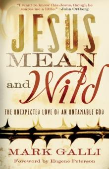 Jesus Mean and Wild : The Unexpected Love of an Untamable God