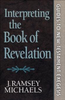 Interpreting the Book of Revelation (Guides to New Testament Exegesis)