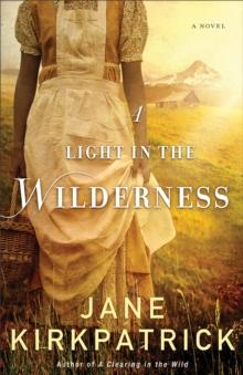 A Light in the Wilderness : A Novel