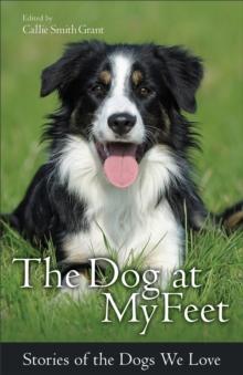 The Dog at My Feet : Stories of the Dogs We Love