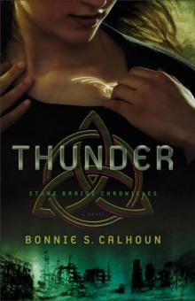 Thunder (Stone Braide Chronicles Book #1) : A Novel