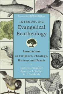 Introducing Evangelical Ecotheology : Foundations in Scripture, Theology, History, and Praxis