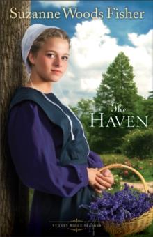 The Haven (Stoney Ridge Seasons Book #2) : A Novel