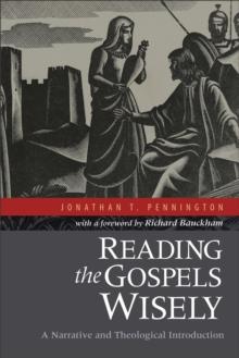 Reading the Gospels Wisely : A Narrative and Theological Introduction