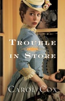 Trouble in Store : A Novel