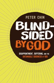 Blindsided by God : Disappointment, Suffering, and the Untamable Goodness of God