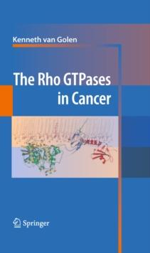 The Rho GTPases in Cancer