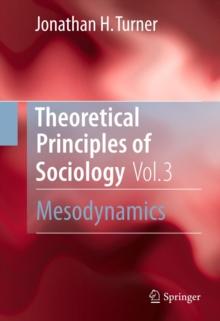 Theoretical Principles of Sociology, Volume 3 : Mesodynamics