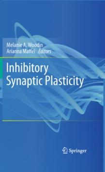 Inhibitory Synaptic Plasticity