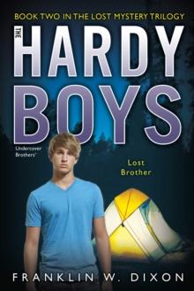 Lost Brother : Book Two in the Lost Mystery Trilogy