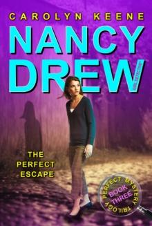 The Perfect Escape : Book Three in the Perfect Mystery Trilogy