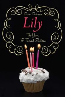 Lily : The Year I Turned Sixteen