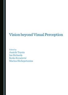 None Vision beyond Visual Perception