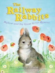 Railway Rabbits: Mellow and the Great River Rescue : Book 6