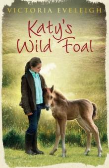 Katy's Wild Foal : Book 1