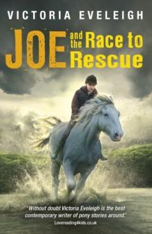 Joe and the Race to Rescue : Book 3