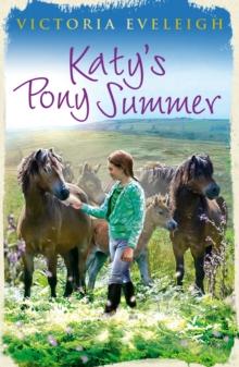 Katy's Pony Summer : Book 5