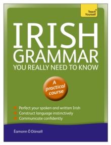 Irish Grammar You Really Need to Know: Teach Yourself