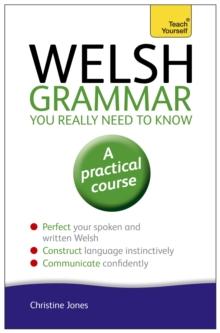 Welsh Grammar You Really Need to Know: Teach Yourself