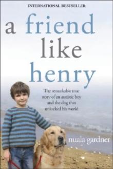 A Friend Like Henry