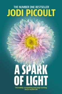 A Spark of Light : The heart-stopping must-read from No.1 Sunday Times Bestseller!