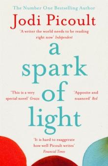 A Spark of Light : The heart-stopping must-read from No.1 Sunday Times Bestseller!