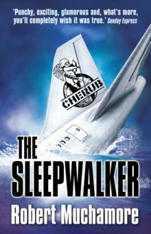 The Sleepwalker : Book 9