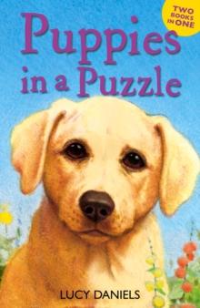 Puppies in a Puzzle : Dalmatian in the Dales & Labrador on the Lawn