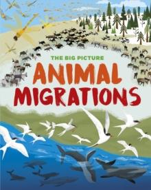 The Big Picture: Animal Migrations