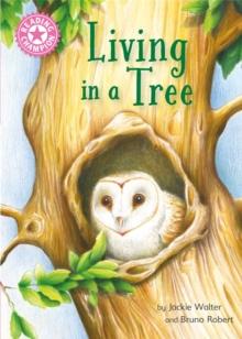 Reading Champion: Living in a Tree : Independent Reading Non-Fiction Pink 1a