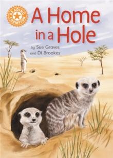 Reading Champion: A Home in a Hole : Independent Reading Orange 6 Non-fiction