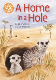 A Home in a Hole : Independent Reading Orange 6 Non-fiction