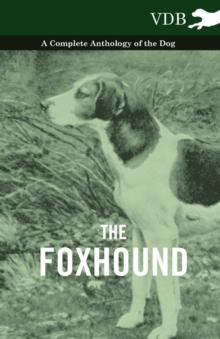 The Foxhound - A Complete Anthology of the Dog