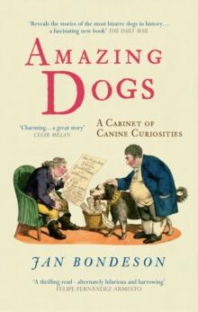 Amazing Dogs : A Cabinet of Canine Curiosities