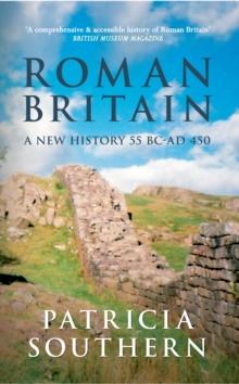 Roman Britain : A New History 55 BC-AD 450