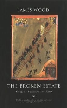 The Broken Estate : Essays on Literature and Belief