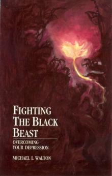 Fighting The Black Beast : Overcoming Your Depression