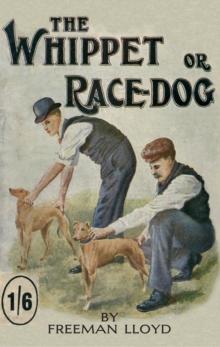 The Whippet or Race Dog: Its Breeding, Rearing, and Training for Races and for Exhibition. (With Illustrations of Typical Dogs and Diagrams of Tracks)