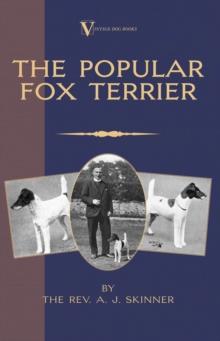 The Popular Fox Terrier (Vintage Dog Books Breed Classic - Smooth Haired + Wire Fox Terrier)