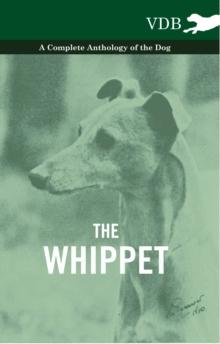 The Whippet - A Complete Anthology of the Dog