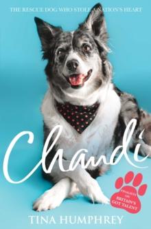 Chandi : The Rescue Dog Who Stole a Nation's Heart