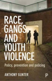 Race, Gangs and Youth Violence : Policy, Prevention and Policing